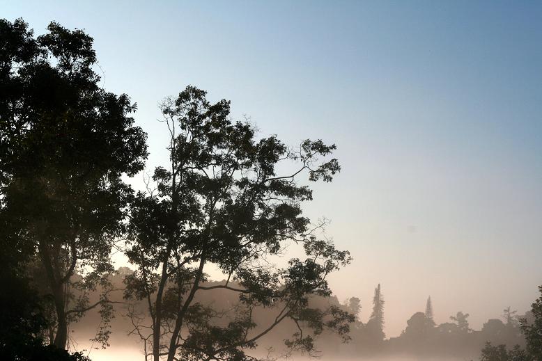 20070218_Fraser_s_Hill_002