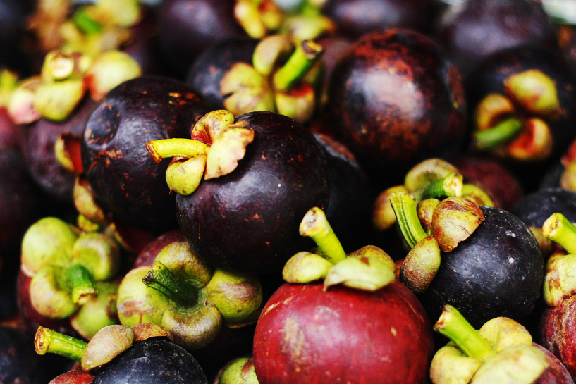 kundasang mangosteen