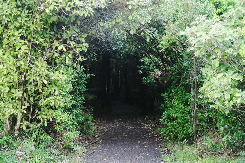 bridal veil falls track