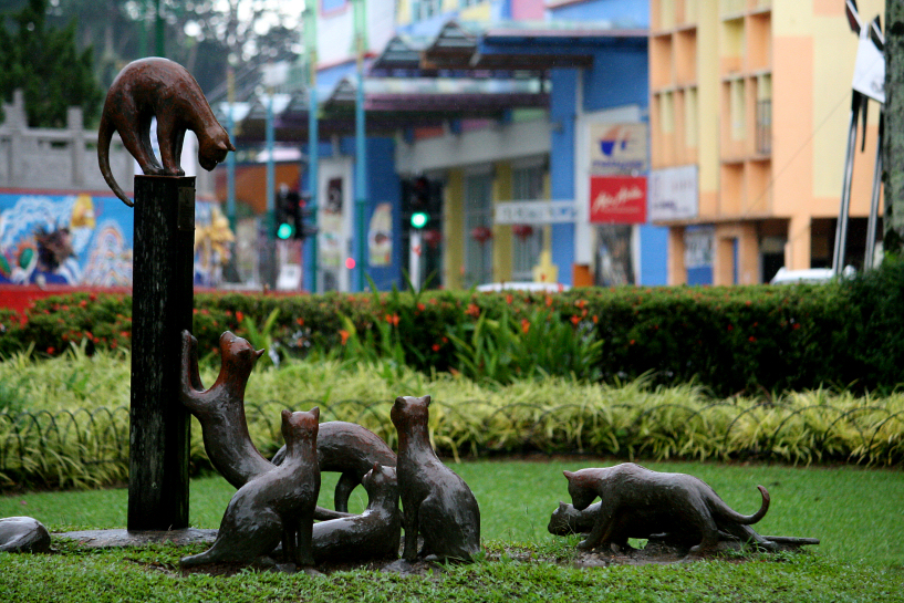 cats in kuching city