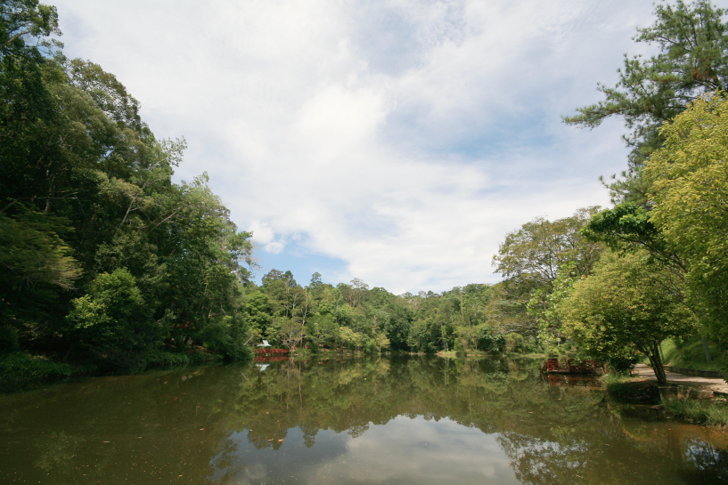 terenggun forest park