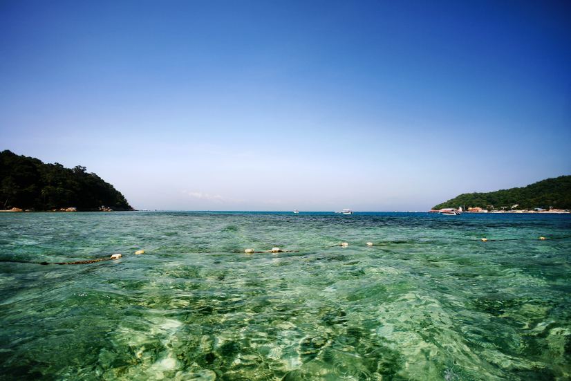 corals at perhentian