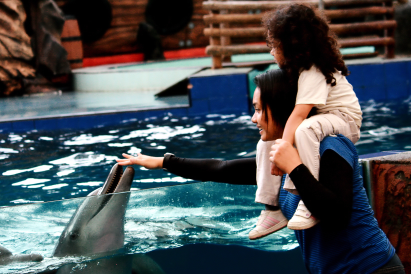 zack, yomi and the dolphin