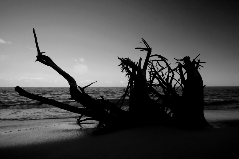 south china sea, pahang