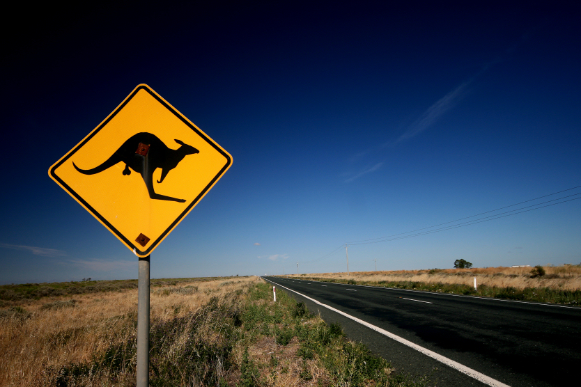kangaroo sign