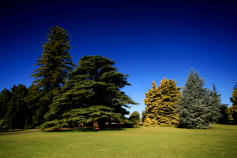 adelaide botanic garden