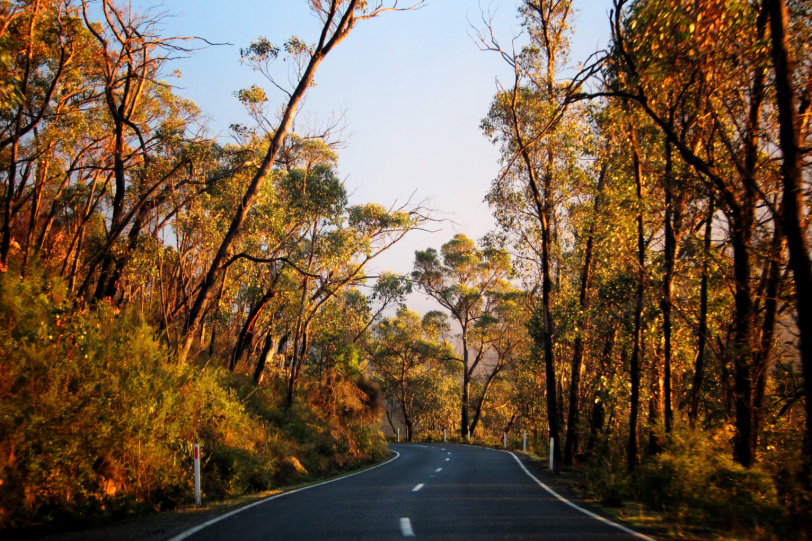 northern grampians rd.