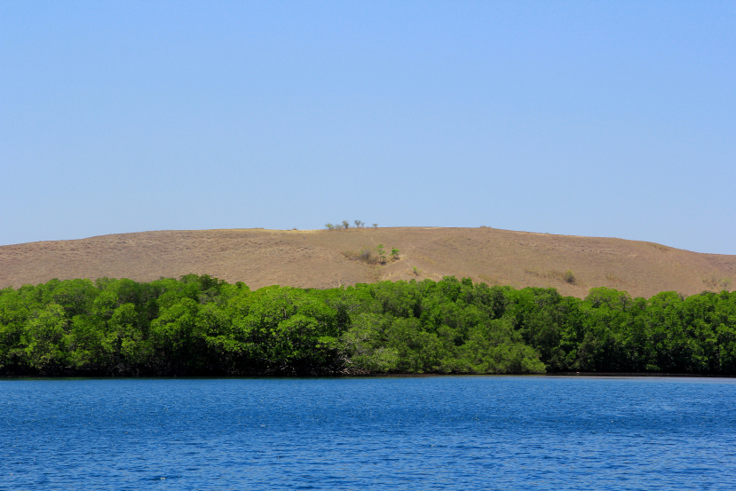 rinca island layered landscape