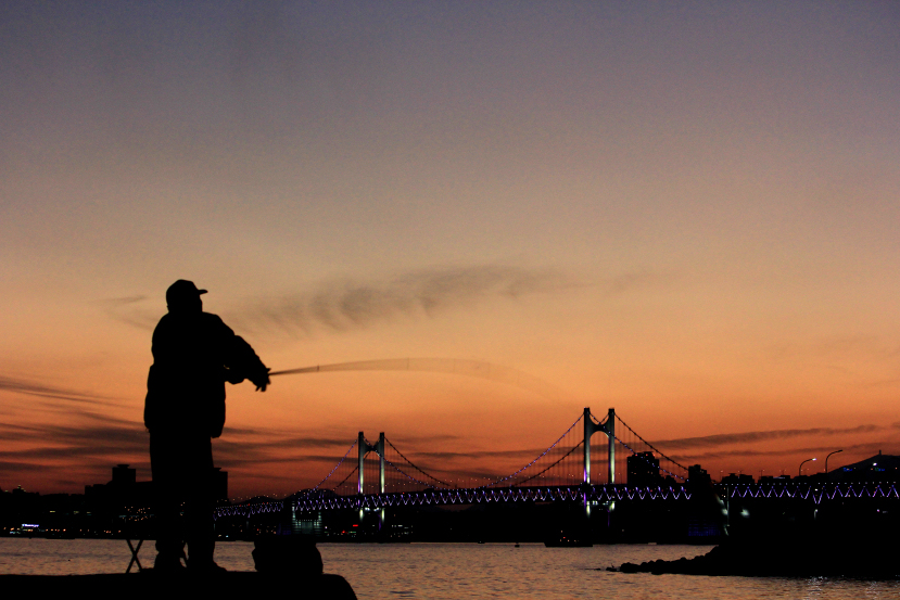 anglers heaven, busan