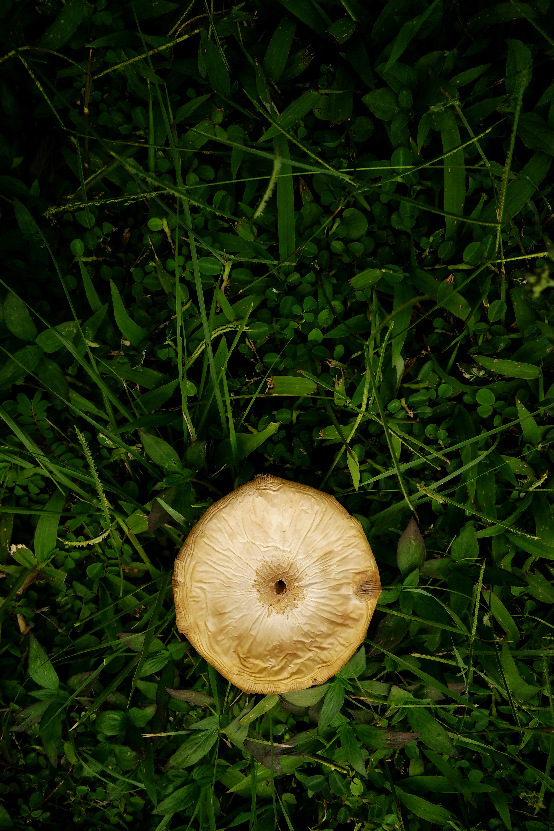 IMG_20160716_181547small