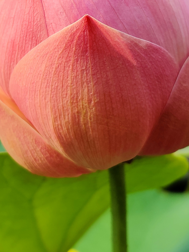 IMG_20190924_174127-02