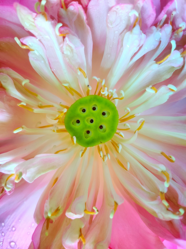 IMG_20190926_084748-01-01