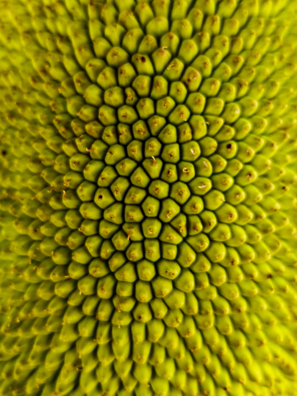 IMG_20191011_124106-02