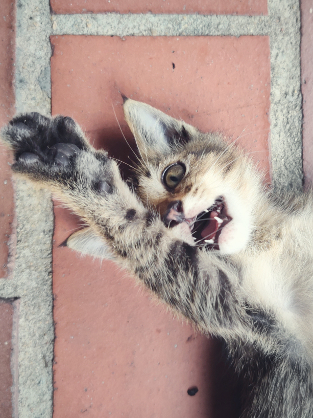 IMG_20191110_143229-01