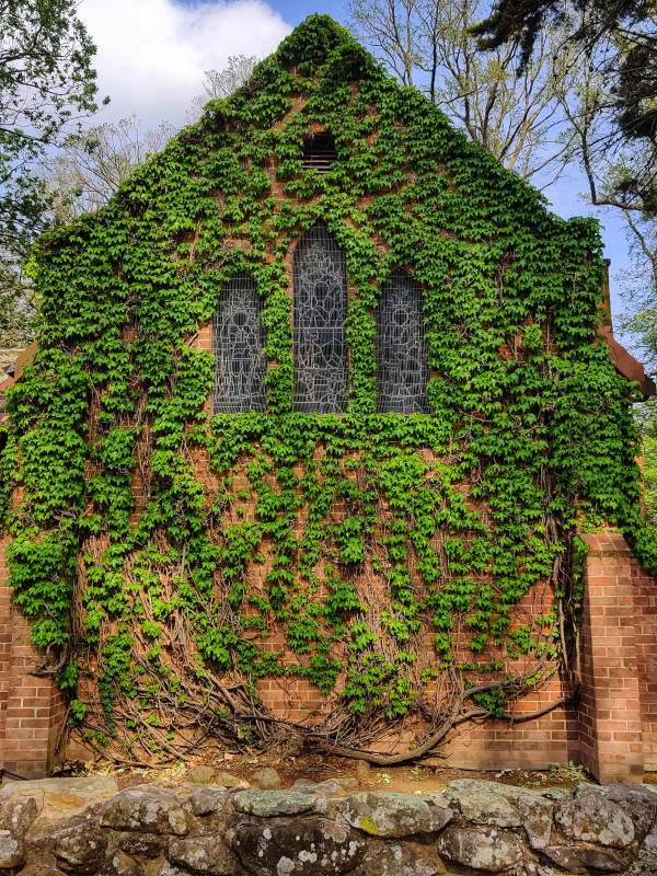 IMG_20191129_090109-01