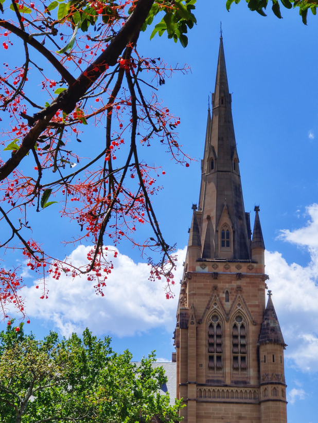 IMG_20191202_113219-01